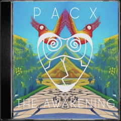 THE AWAKENING (FREE DOWNLOAD)