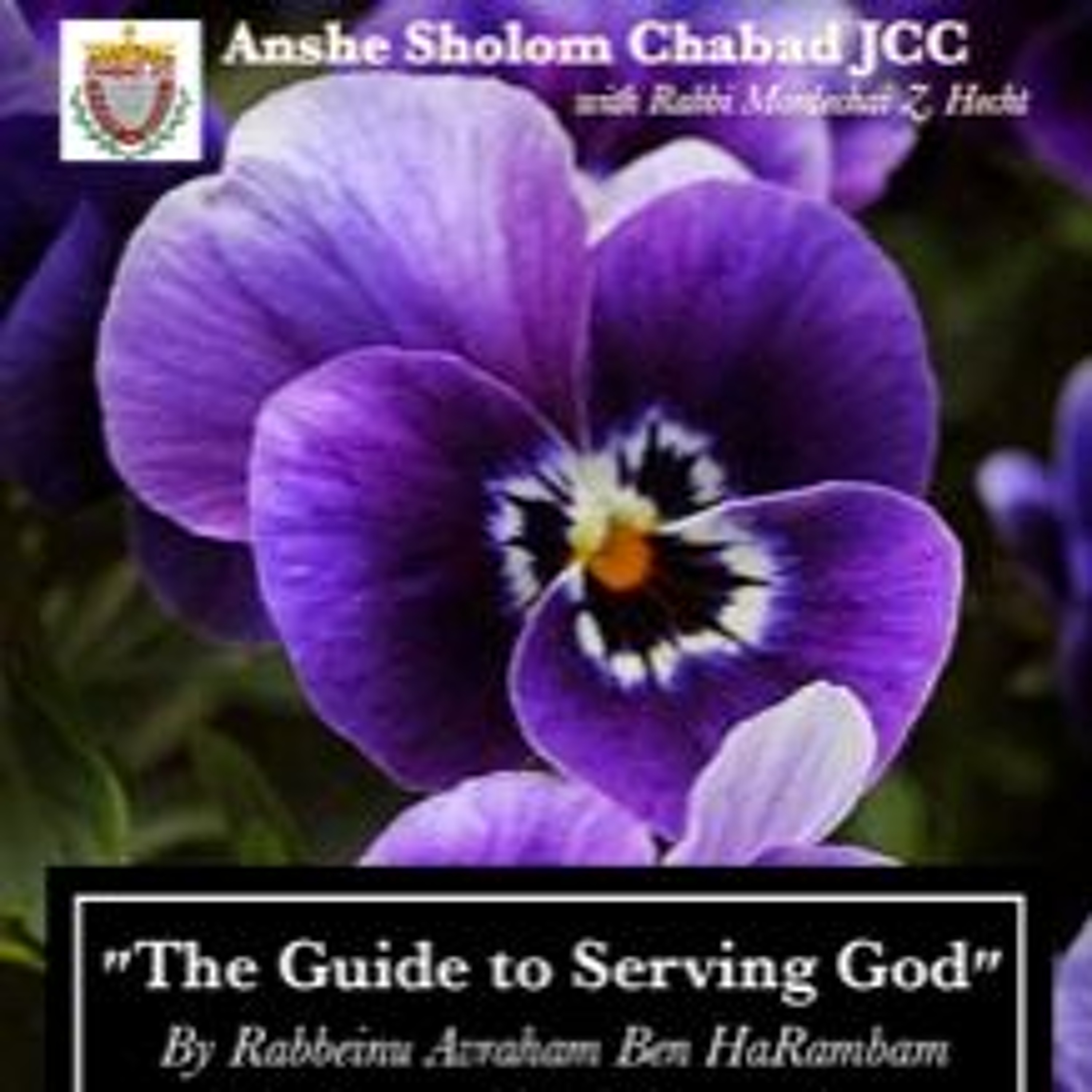 Guide To Serving G-D: Ep# 6. Generosity: 3/3 episode artwork