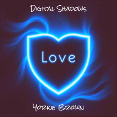 Digital Shadows