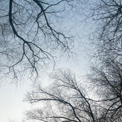 Andata