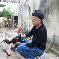 mix