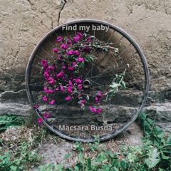 Find My Baby