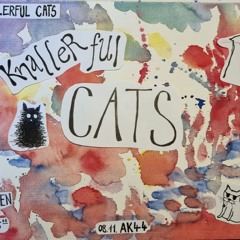 knallerfulcats