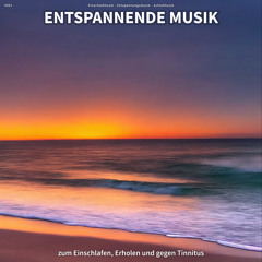 Zen Musik