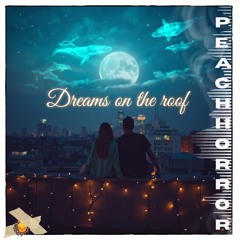 Dreams on the roof