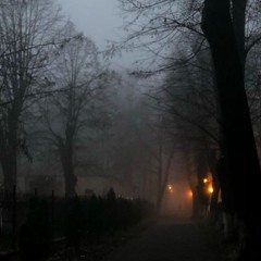 wellensteyn freestyle (prod.shvde)