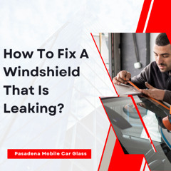 How To Fix A Windshield That Is Leaking?