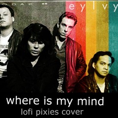 Pixies - Where Is My Mind  | LoFi cover | sp202 (video in description)