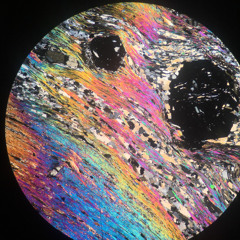 Garnet Fields