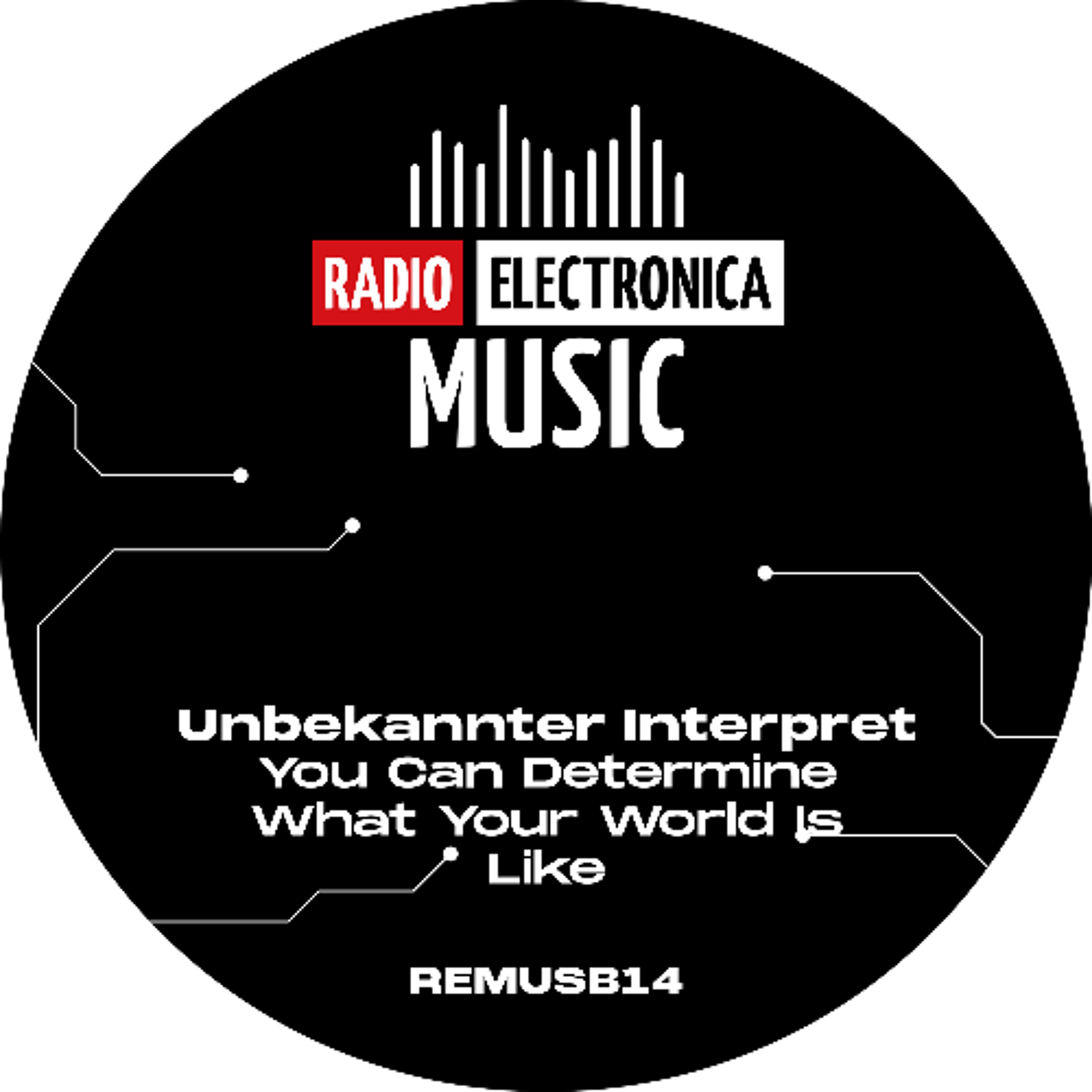 PREMIERE: Unbekannter Interpret - You Can Determine What Your World Is Like [REM]