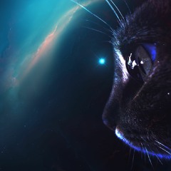 AstroKitty: Confessions of the Dead