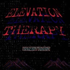 ELEVATION THERAPY