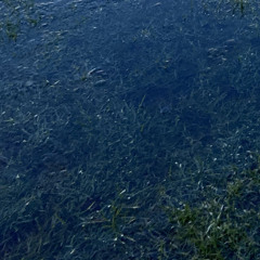 SEEMS I CANT DENY (DISTRICT96 EDIT)