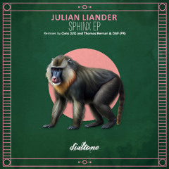 PREMIERE: Julian Liander - Coalescence (Thomas Hernan & DAF (FR) Remix) [Dialtone Records]