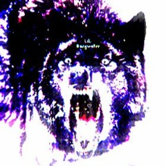 🤍❤️INDIGIRAVER💛🖤