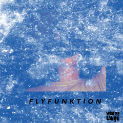 Flyfunktion
