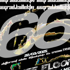 SCHOLLY 66 Grad x Different 22.03.2025