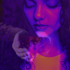 Who Is The Rose