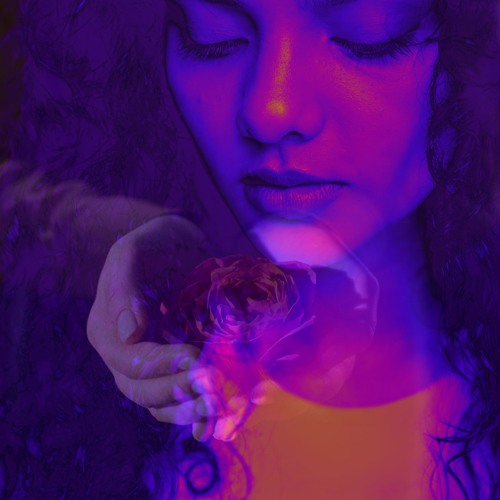 Who Is The Rose