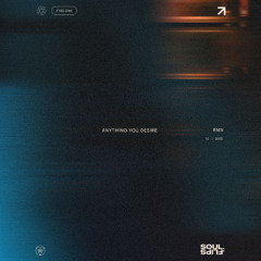 AnythingYouDesireFlip