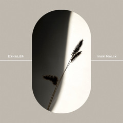 Exhaler