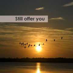 Still offer you