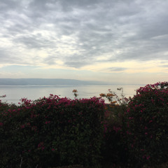 Tu Fidelidad (Your Faithfulness)