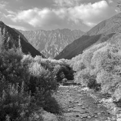 Music for photography exhibition 'APErture'