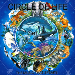 CIRCLE OF LIFE - SET REC-2025-08-12