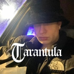 TARABANDZ - TARANTULA FREESTYLE 2020