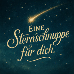 Eine Sternschnuppe für Dich!🌠