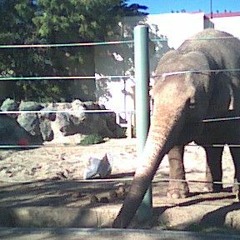 2021 04 09 Flipped Tablas