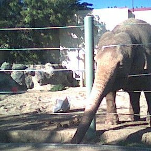 2021 04 09 Flipped Tablas