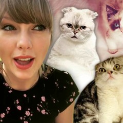 Taylor Swift - Cardigan Remix (Electronic Hiphop)