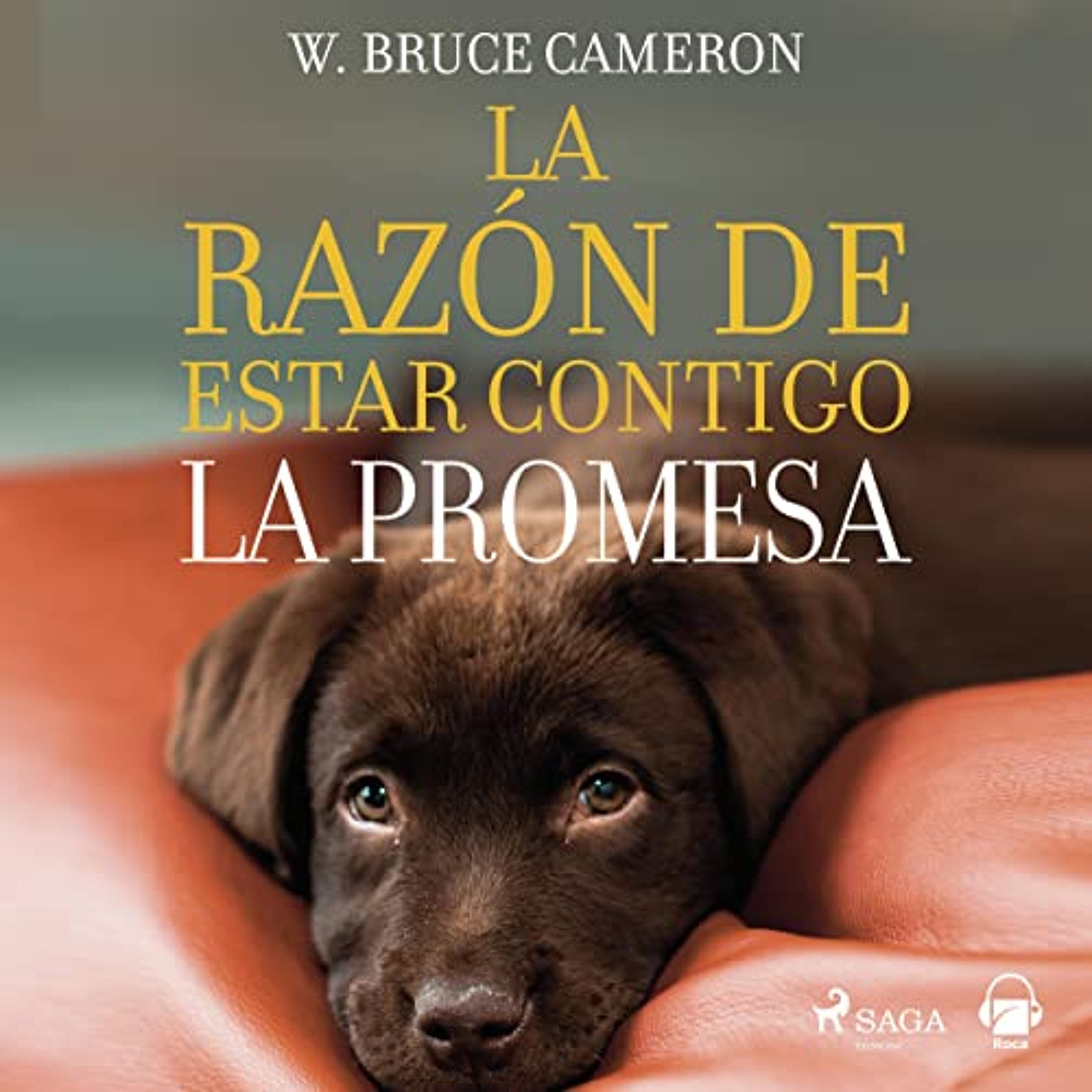 La promesa (Audiolibro) | Prueba Gratis