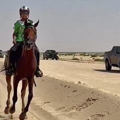 عيضه المنهالي  اعلان الشيحانيه