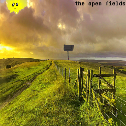 DELTARUNE: Is It Really The Same Puppet?: the open fields.