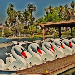 The Real Housewives of Echo Park