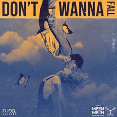 Don't Wanna Fall (ft. MeinWeinKORGT)