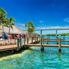 Best Things To Do In Key Largo Florida Tours Reviews