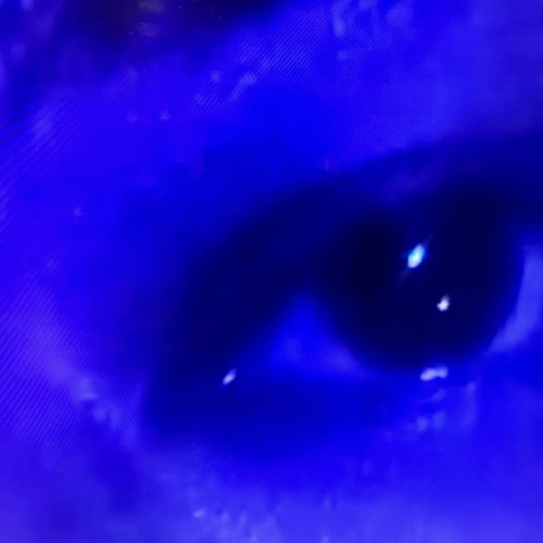 Eyedress+slimesito=dizzy       @fvckgor3._