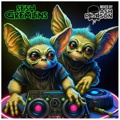 Ash & Justin present Sesh Gremlins 004