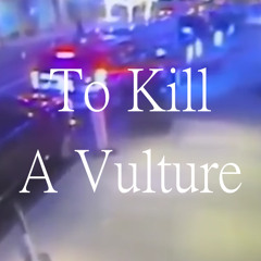 To Kill A Vulture