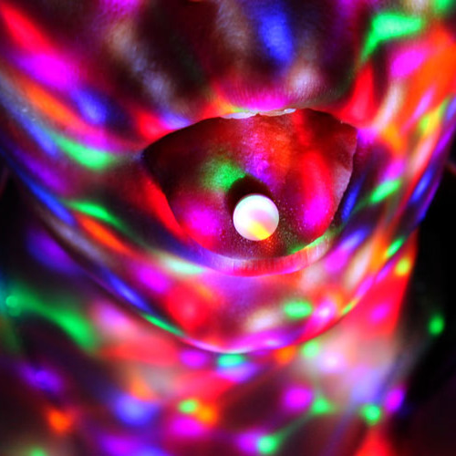 Feeling Myself x Recto Verso Ledger Mix