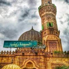 سيدتى يا أنس الحيارا✨💚🕊- سيدة زينب❤🌿