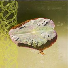 PREMIERE: Biodive - Infinite Lifetimes [p.istol]