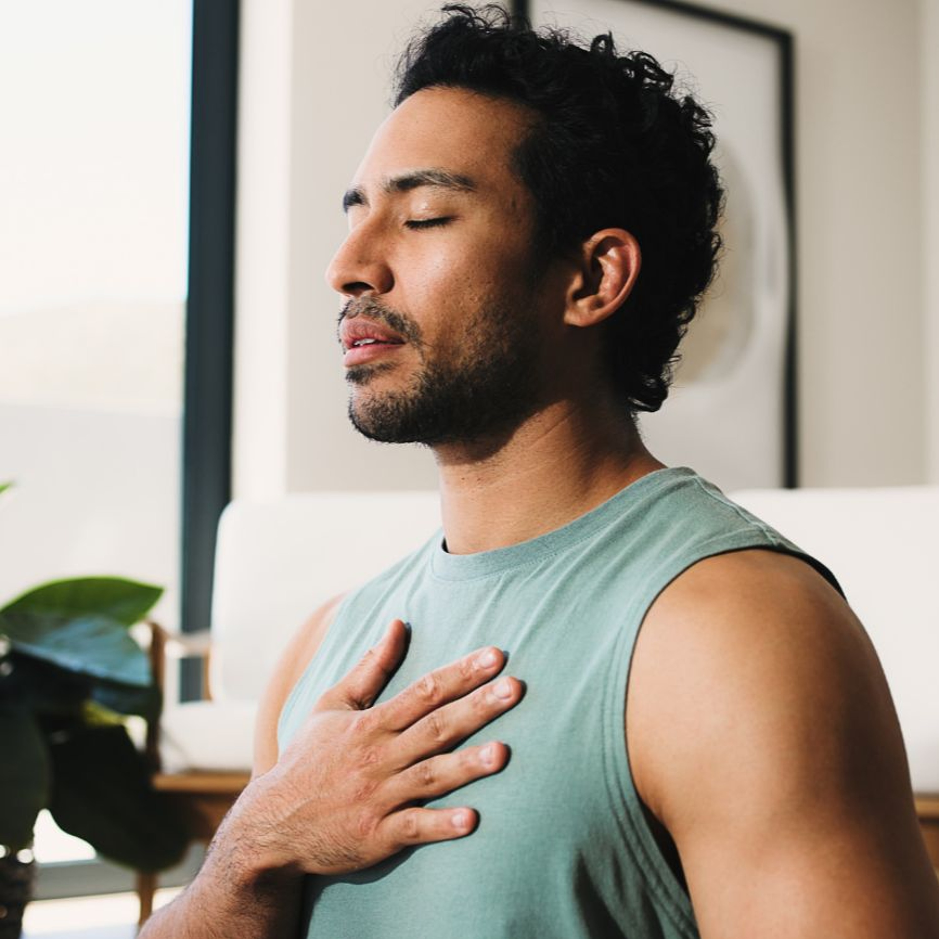 Best of Awake in the World: 15 minute Guided Meditation on the Breathing Body