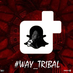 Afro Warriors & Tefo Foxx - Voodoo(Lupeck Xtrova & Mr. Falcão Vocal)