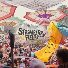 Celebrating 15 Years Of Strawberry Application - Booey.