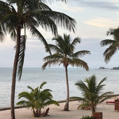 On The Tour Bus (ThrowBack) Revised.wav